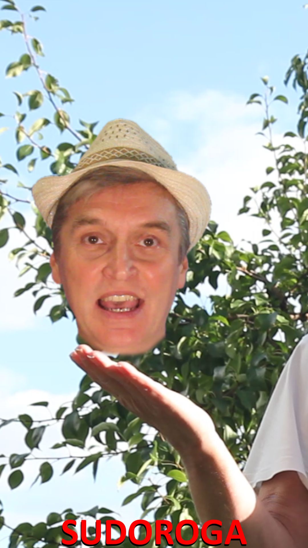 SUDOROGA - Это что?