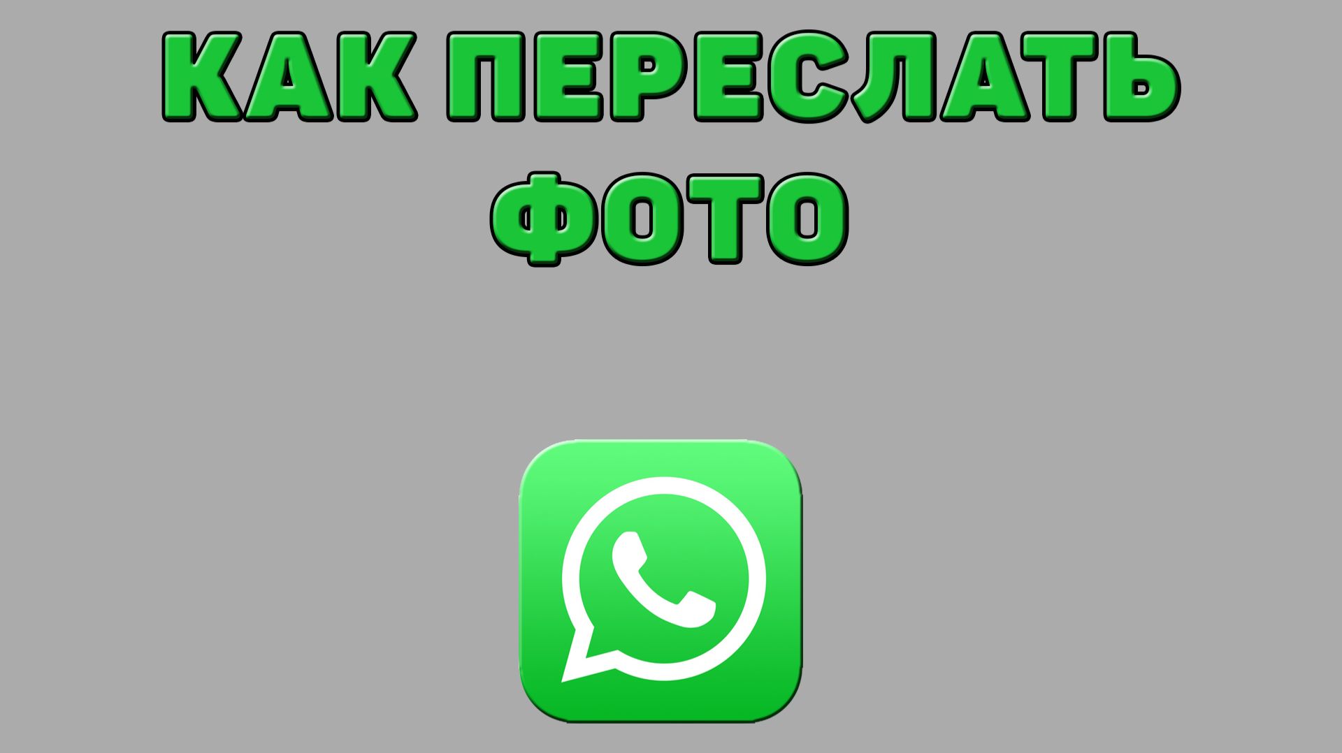 Как переслать фото в Ватсапе смотреть онлайн