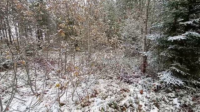 Земельные участки.mp4 смотреть онлайн