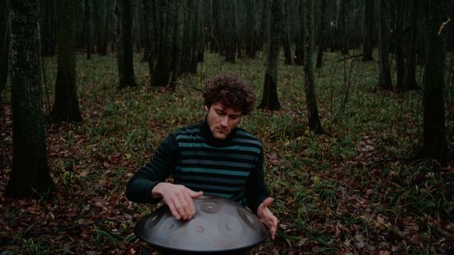 Природа и хэндпан: идеальная гармония 🎶🌿