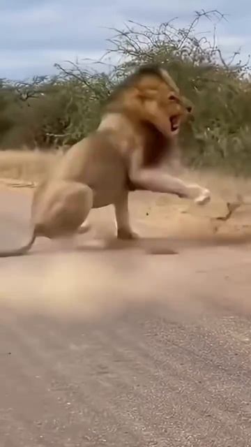 #205 || МЕМЫ || ПРИКОЛЫ || ЮМОР смотреть онлайн