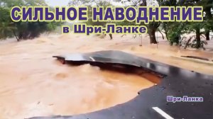 Сильное наводнение вслед за Вьетнамом и Индонезией добралось до Шри-Ланки.