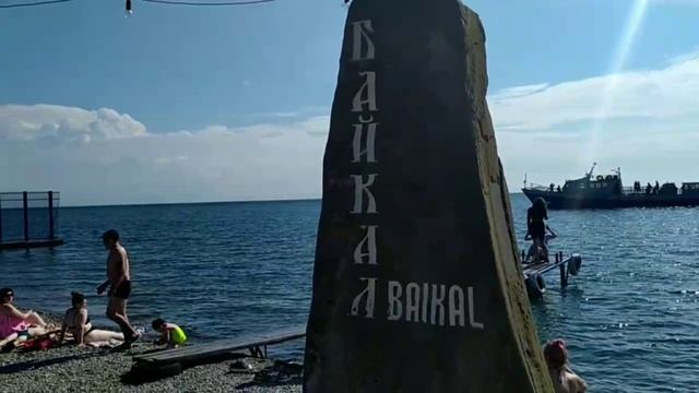 сосны на м.б.