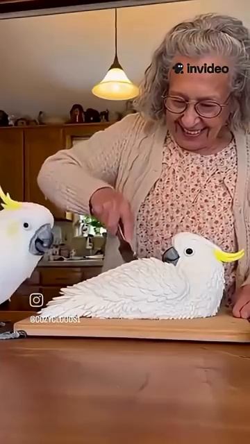 Реакция животных на разрезание смотреть онлайн