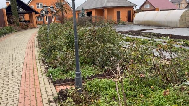 Розы. Пришла зима, а я обрабатываю розарий. Чем занимаюсь еще?Поболтаем.🌹🌹🌹 смотреть онлайн