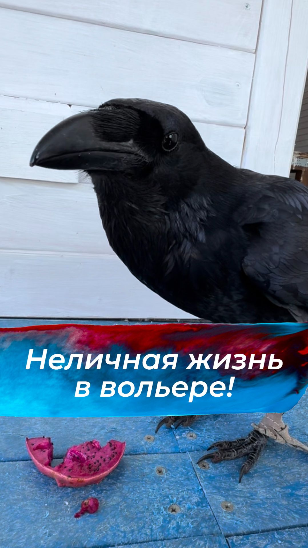 Подробности тут: смотреть онлайн