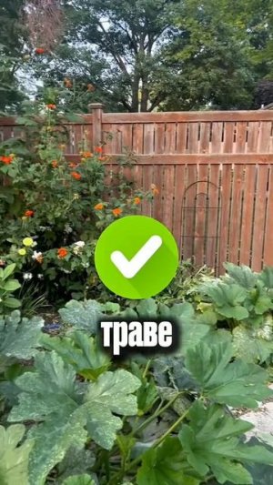 Полезно? Сохрани!