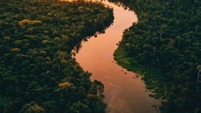 Река Амазонка и амазонские джунгли