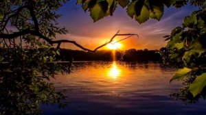 ОДИНОКИЙ ВЕЧЕР - музыка Павел Ружицкий @PavelRuzhitsky