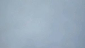 Бусый дал дал, ушёл!