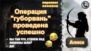 АЛИСА. Операция "губорвань" проведена успешно!