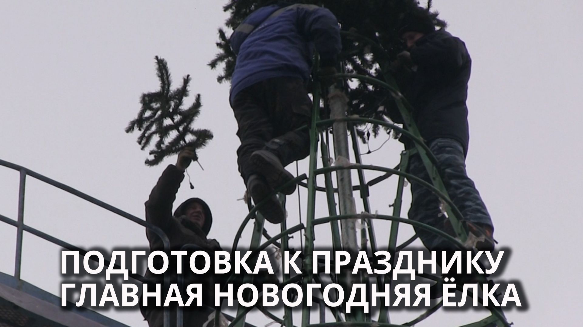 В центре Саратова ставят главную ёлку смотреть онлайн