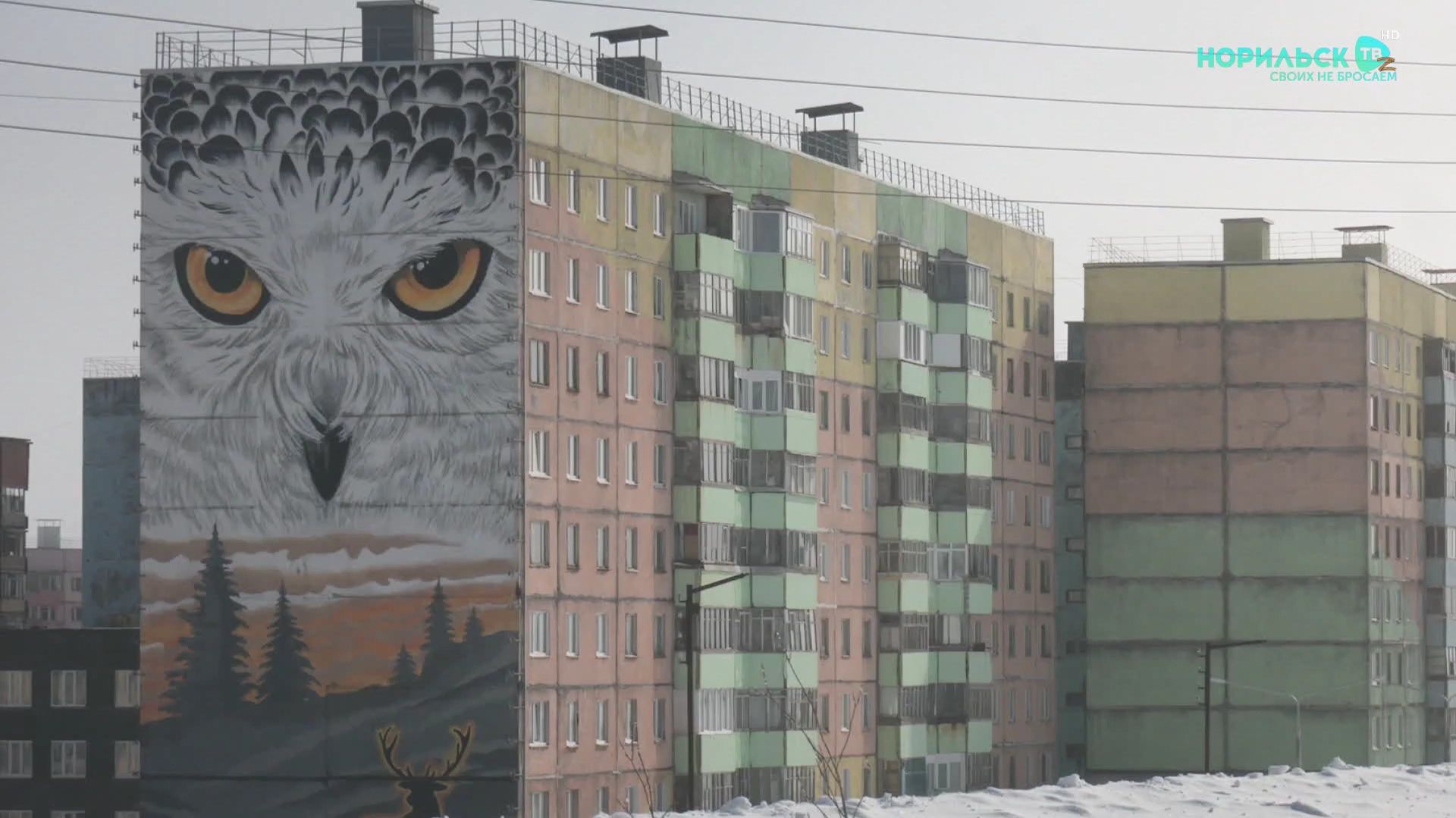 Норильские новости – 01.12.2025 смотреть онлайн