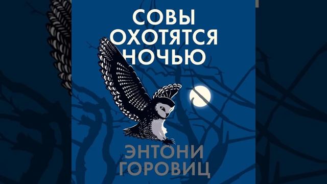 Э. Горовиц .Совы охотятся ночью смотреть онлайн