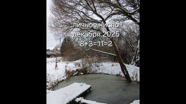 декабрь 2025: что он нам несет? #нумерология