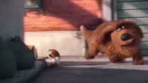 Тайная жизнь домашних животных