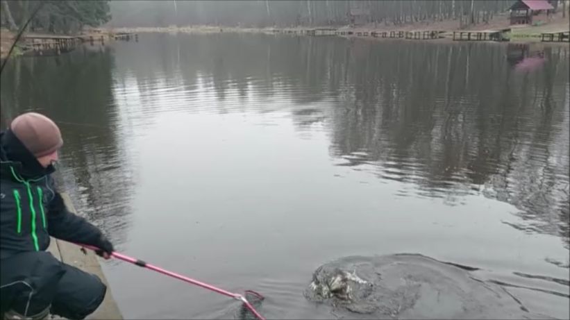 Пасмурно. Безветренно. Ловим форель. Клёвое место, Лосиный остров, верхний водоём. смотреть онлайн