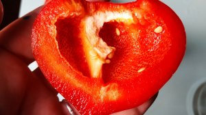 Лучший перец сезона сортотипа гогошары  выбран: самый сладкий, урожайный и не капризный перед Диана