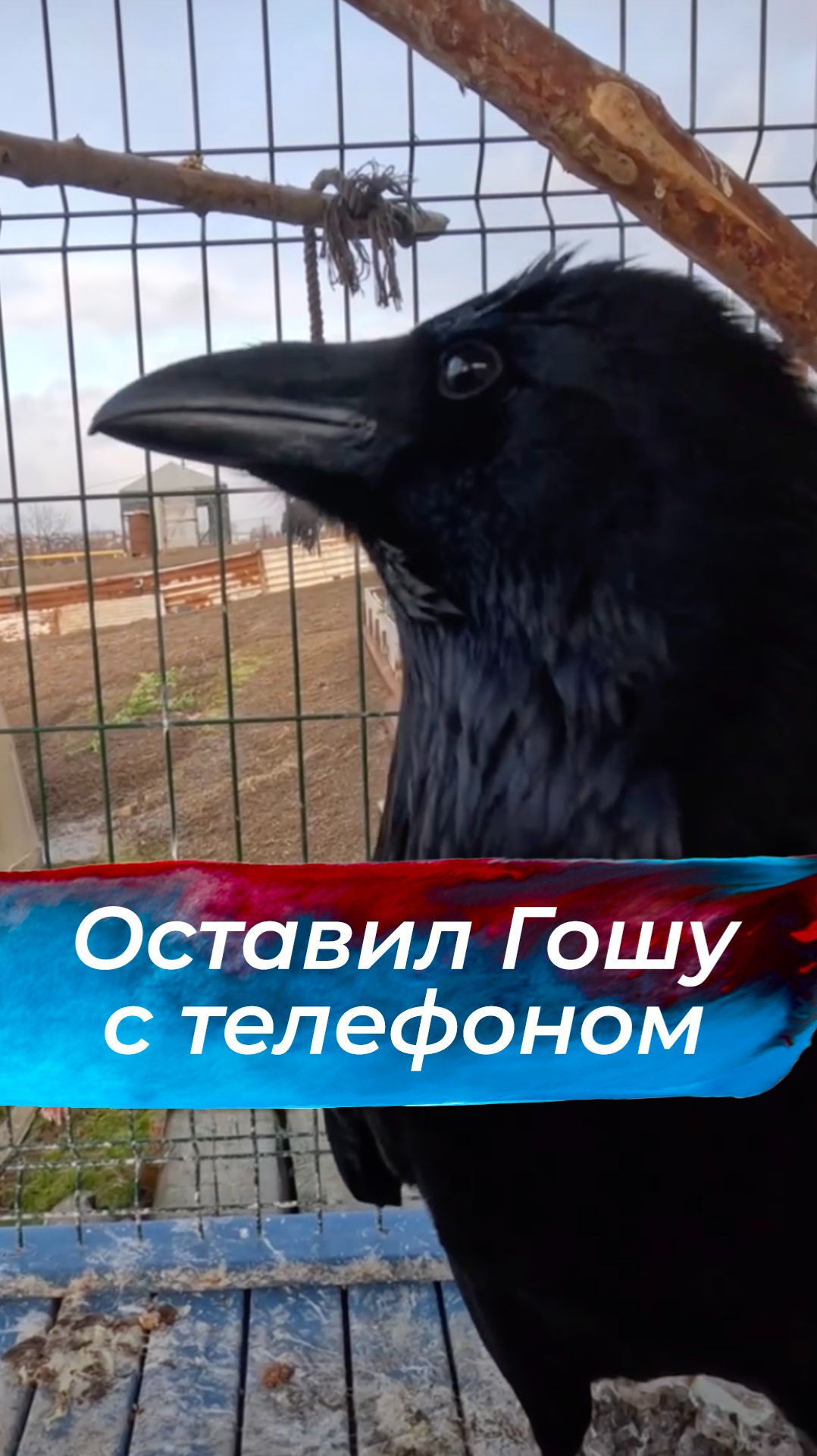 Подробности тут: смотреть онлайн