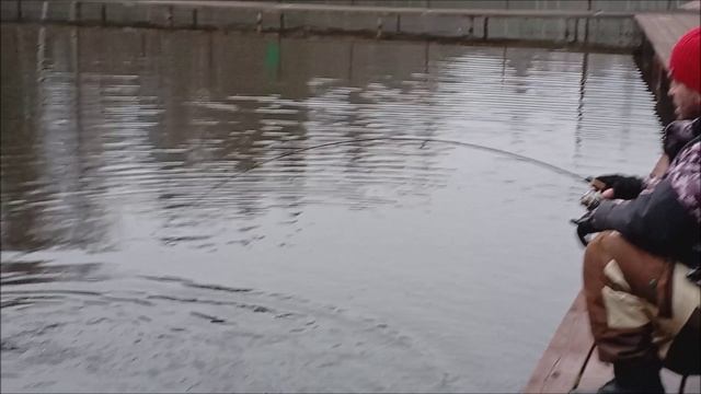 Рыба на столько активна, что явного приоритета в приманках нет! Рыбалка на спорт зоне в Клёвом месте смотреть онлайн