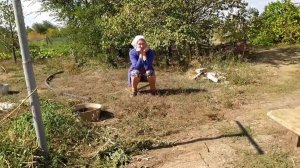 Скамейка из остатков старого сундука. Компот из Изабеллы. Как это было 24 серия.