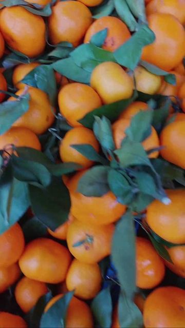 Видео от МОНС 4* COTTAGE