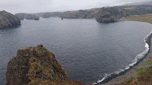 Бухта Безымянная. Путешествие с Сахалина на Шикотан на теплоходе "Павел Леонов". Часть 16