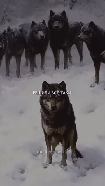 Правда смотреть онлайн