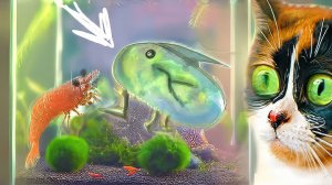 В ПОДВОДНЫЙ ТЕРРАРИУМ ПОСЕЛИЛАСЬ КАКАЯ-ТО ШТУКА, ЧТО ЭТО?