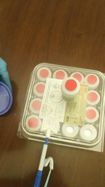 video5296611634305863402