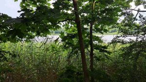 Млечный путь  //Лето-2025//