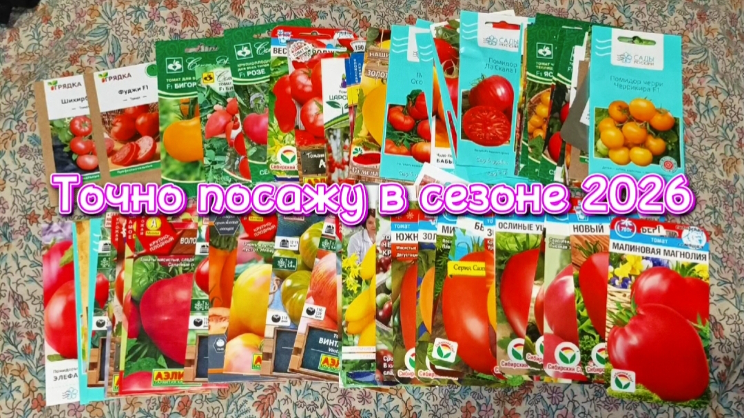 Мучительный выбор томатов на сезон 2026 сделан. смотреть онлайн