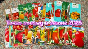 Мучительный выбор томатов на сезон 2026 сделан.