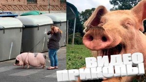 ЛУЧШИЕ ПРИКОЛЫ 2025 | ПРИКОЛЫ 2025 | СВЕЖИЕ ПРИКОЛЫ 2025 | РЖУ НЕ МОГУ |