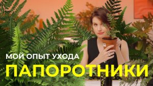 Платицериум, даваллия, дидимохлена. Фитильный полив для папоротника.