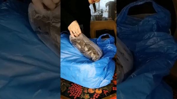 #распаковка #сумки #натуральнаякожа #замша #почта #блог #посылка #екатеринбург #сумка #замшакожа