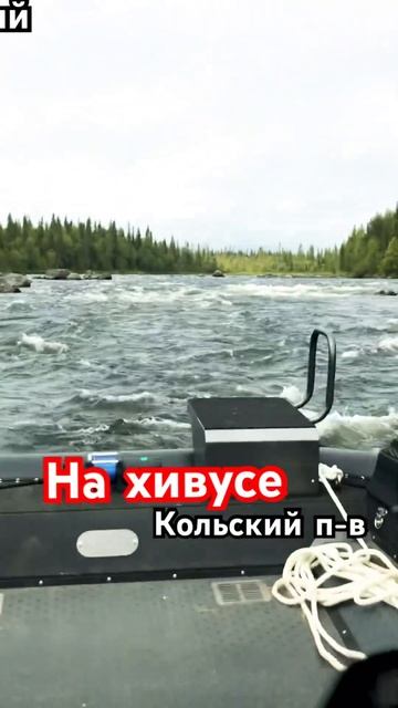 На воздушной подушке по Кольскому п-ву.                               #альбертсеверный #кольский