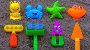 Учим Названия Цветов С Морскими Животными |  Игрушечные Детские Инструменты | Песенки для малышей