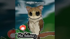 Мяовл моя:3