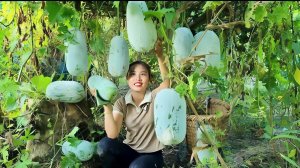 Собираю урожай гигантских кабачков и вещу их на рынок для продажи. Выращивайте кукурузу и шпинат