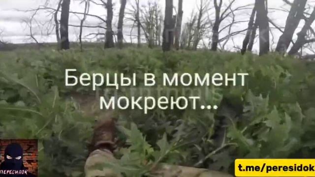 сухарь куда ты сухааарь.ВСУшник Сухарь уже у границы с Польшей с турникетом смотреть онлайн