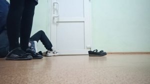 Венерин башмачок