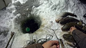 НАКИДАЛ ГОРУ НАЛИМОВ | ПРОВЕРКА ПЕРЕМЕТА 02.12.2025