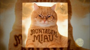Montagem Miau