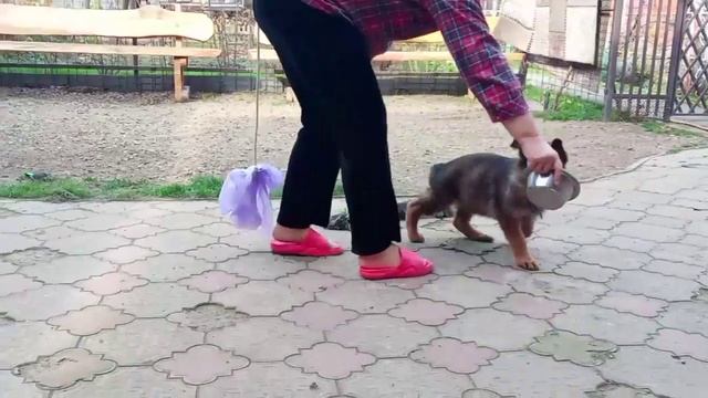 Баларис УРСУС, 2 месяца 10 дней смотреть онлайн