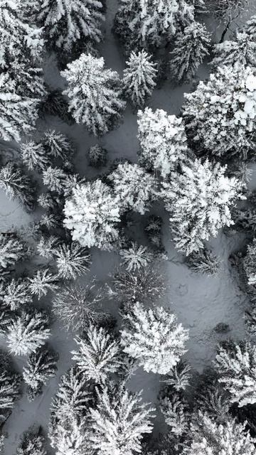 «Нет зимы» ☃️❄️❄️❄️ смотреть онлайн