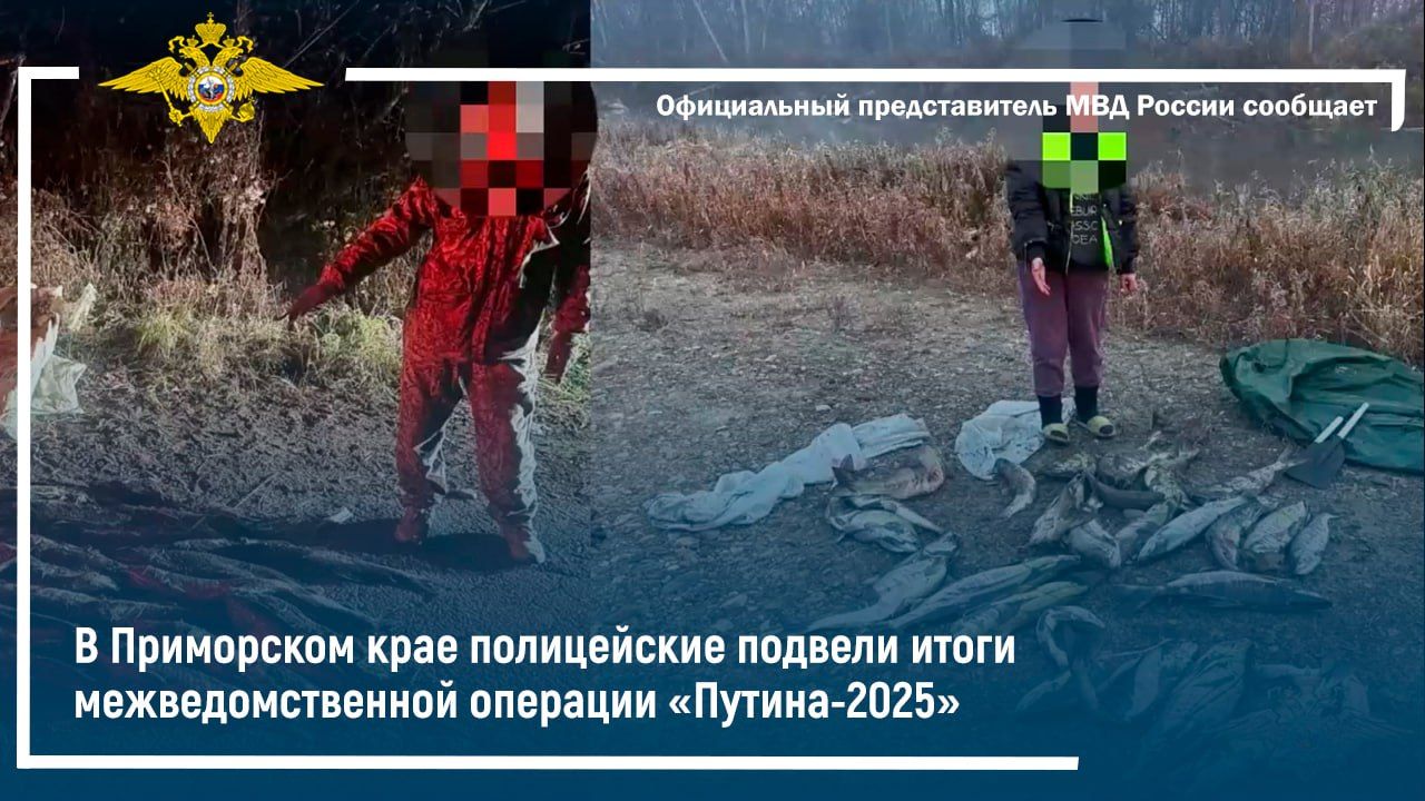 В Приморском крае полицейские подвели итоги межведомственной операции «Путина-2025» смотреть онлайн