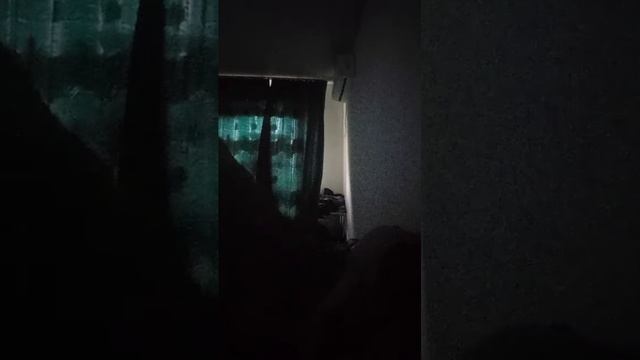 новая трансляция смотреть онлайн