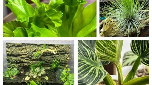 Наперекор зиме!