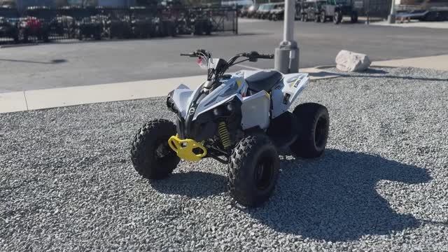 Can Am Renegade 110 2026 - Круговой обзор смотреть онлайн